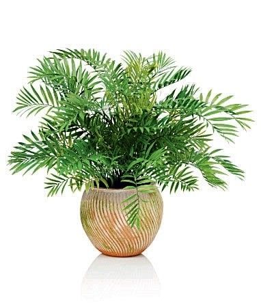 學(xué)習(xí)花藝師多少錢