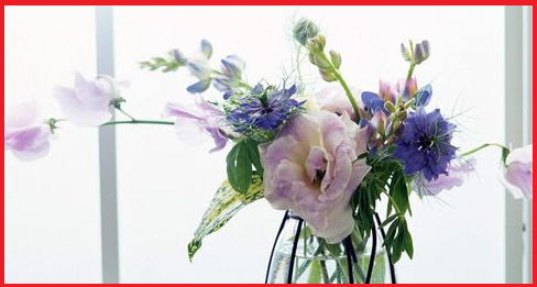 t01ee8bdda330483375.png
