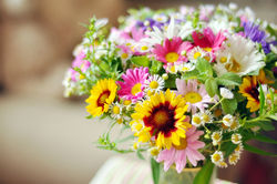 stock-photo-bouquet-of-simple-flowers-on-the-table-153995765 (1).jpg
