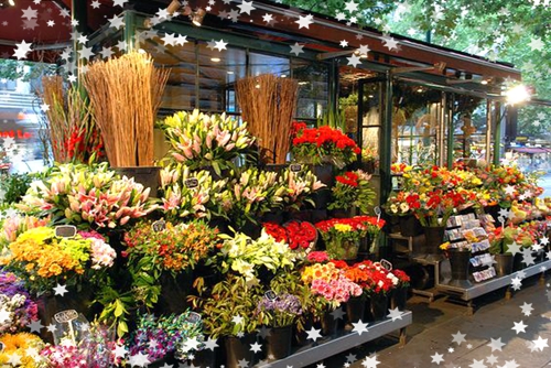 新手如何開花店？經營花店的要注意的八大問題